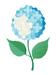 Beautiful Colorful Hydrangeas with Green Leaves Illustration - Vibrant illustration of a hydrangea flowers featuring flowers with green leaves. Perfect for themes of nature, florals, and decoration.