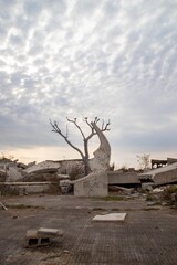 Serie Epecuen y Carhue
