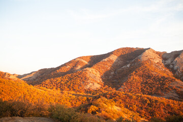 Obraz premium A beautiful view of the nature, mountain, full forest with orange leaves