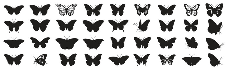 Silhouette black set isolated Flying butterflies  on white background. 