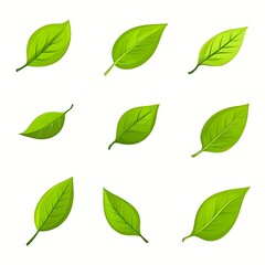 Set of icon green leaves icons on a white background. Vector illustration.