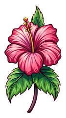 Vibrant Hibiscus Flower with Green Leaves Illustration - Illustrated image of a vibrant hibiscus flower with green leaves. Ideal for tropical themes, nature-inspired designs, and botanical projects.