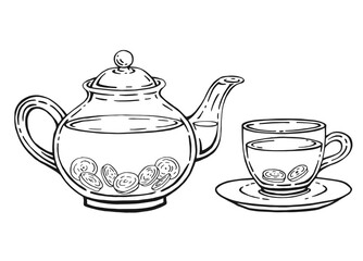 Hand drawn teapot, cup, ginger. Vector illustration in outline style.