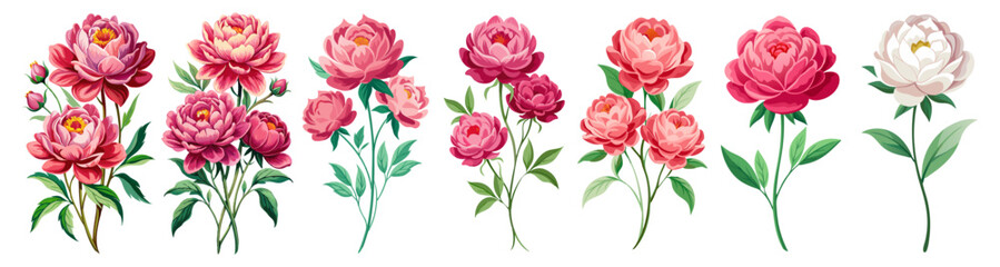 Vibrant Peony Illustration With Detailed Petals and Leaves - A colorful illustration of a peony flower showcasing vibrant petals and lush green leaves, capturing beauty and elegance in nature's design