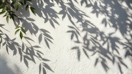 Fototapeta premium Shadows of leaves on a white wall