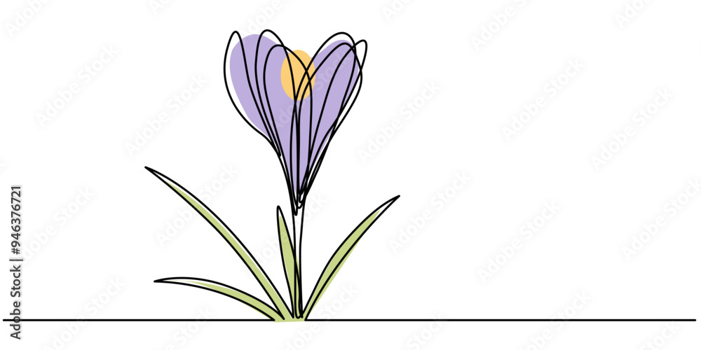 Wall mural group of spring crocus flowers in continuous line art drawing style. black linear sketch on white ba