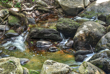 trickling brook  in the wilderness of new england