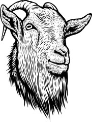 Goat head drawing, black and white