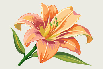 Daylily flower, watercolor clipart illustration with isolated background.
