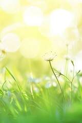 Obraz premium Green foliage under soft sunlight with scattered light particles