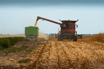 Obraz premium Combine transferring corn after harvest