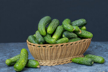 Fresh Cornichon cucumbers in a basket.