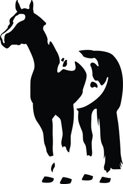 Paint horse silhouette