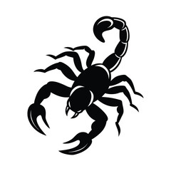 Vector silhouette of a scorpion in a danger pose, detailed and dramatic illustration.