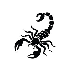 Vector silhouette of a scorpion in a danger pose, detailed and dramatic illustration.