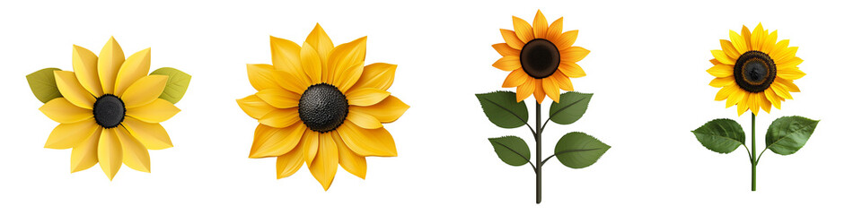 Sunflower Flower Element 3D Illustration Bright Yellow Petals Isolated on White and Transparent Background