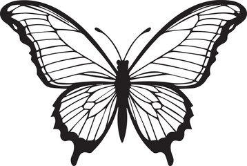 Vector image of a butterfly on a white background