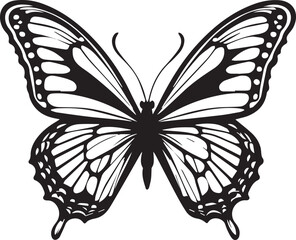 Vector image of a butterfly on a white background