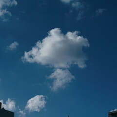 거리의 풍경 #주간 #컬러