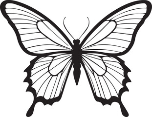 Vector image of a butterfly on a white background
