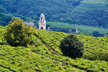 Scenic Vineyard Landscape with church, Marano di Valpolicella, Verona, Italy