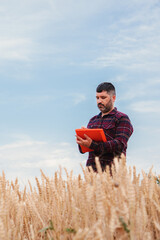 Vertical Caucasian farmer in a large wheat field examining the crop and writing down data under the...