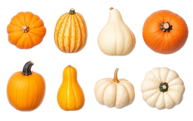 A collection of various pumpkins showcasing vibrant colors and unique shapes, perfect for autumn themes and seasonal decoration.
