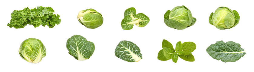 Fototapeta premium A stunning collection of fresh leafy greens including kale, spinach, and cabbage, perfect for healthy recipes and vibrant dishes.