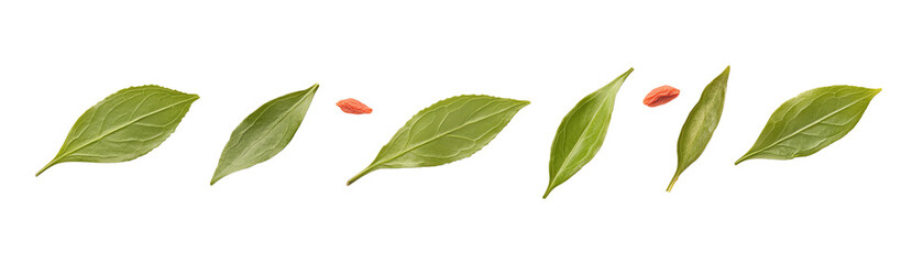 Fototapeta premium Collection of fresh green leaves with a hint of red berries, perfect for culinary or decorative use in presentations.