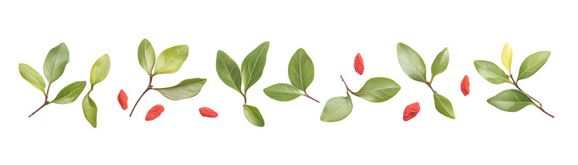 Fototapeta premium Elegant botanical border featuring lush green leaves and subtle red berries, perfect for nature-themed designs and decorations.