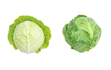 Fresh green cabbages showcasing different varieties, perfect for healthy meals and vibrant recipes.