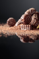 Chocolate candies sprinkled with chocolate chips.