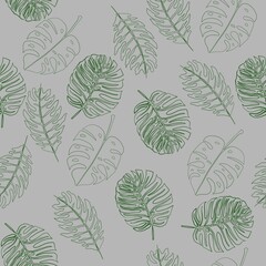 Fototapeta premium abstract pattern with botanical monstera design