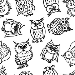 Owls different types of birds in doodle style vector illustration 