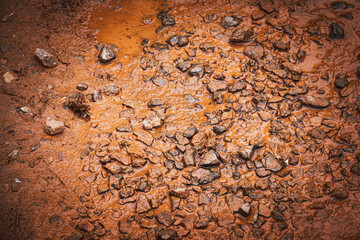 A muddy, rocky ground with a lot of rocks and dirt. The ground is brown and dirty