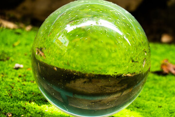 A clear glass ball is sitting on a green mossy ground. The ball is reflecting the surrounding environment, creating a sense of depth and dimension. The image conveys a feeling of tranquility