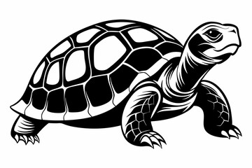 Turtle silhouette vector illustration