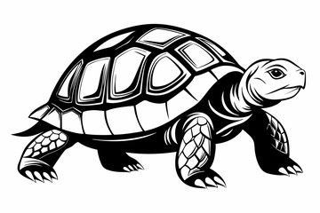 Turtle silhouette vector illustration