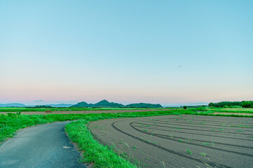 Fototapeta premium 鹿児島 指宿市 田舎道