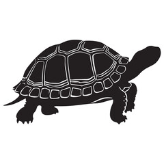 Turtle Vector Silhouette, Aldabra Giant Tortoise silhouettes and icons, sea turtle logo tattoo design stencil vector illustration