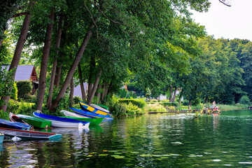 Brightly colored boats on the lake shore with trees hanging over them.