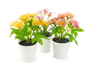 Artificial flowers on white background