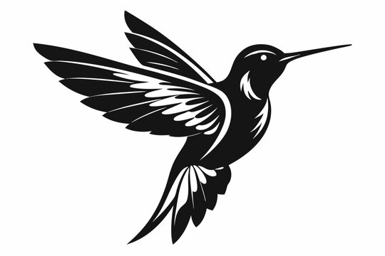 recommend clip art:  Hummingbird silhouette vector, Flying bird illustration