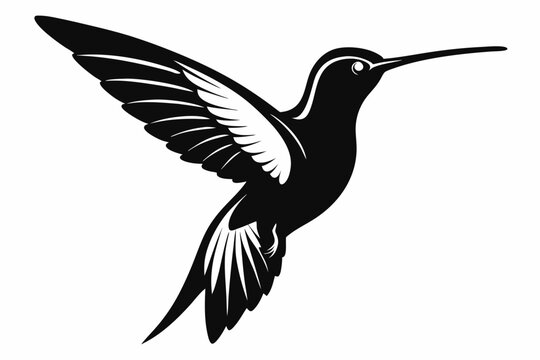 recommend clip art:  Hummingbird silhouette vector, Flying bird illustration