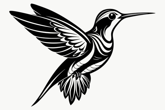 recommend clip art:  Hummingbird silhouette vector, Flying bird illustration