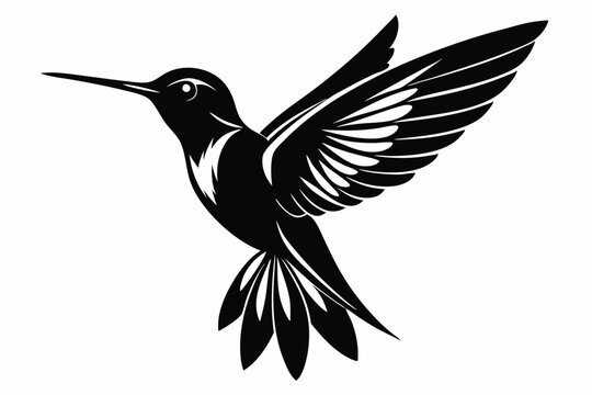 recommend clip art:  Hummingbird silhouette vector, Flying bird illustration