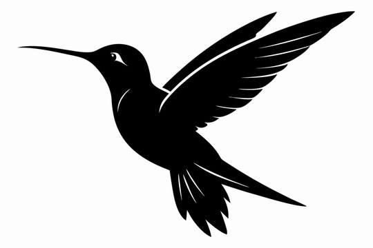 recommend clip art:  Hummingbird silhouette vector, Flying bird illustration