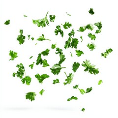 Fototapeta premium Fresh Green Parsley Leaves Falling Isolated On White Background.