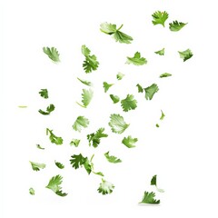 Fototapeta premium Falling Coriander Leaves.