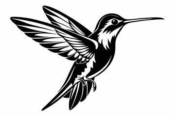 Hummingbird silhouette vector, Flying bird illustration